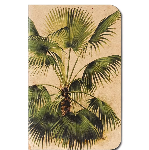 Palmas notebook