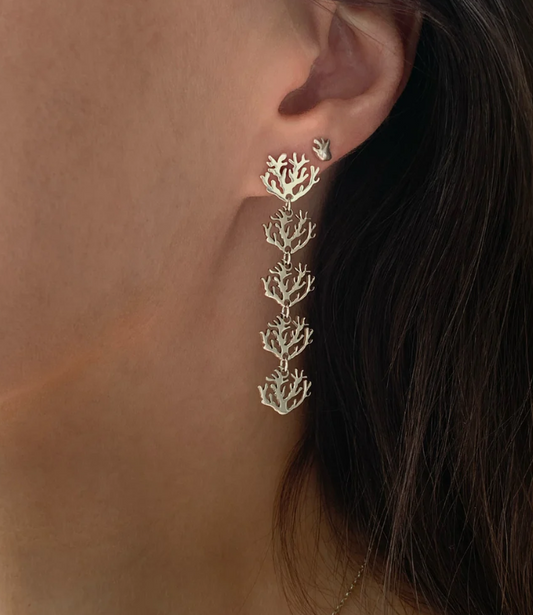 Coral plata earrings