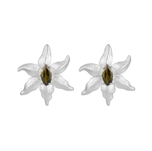 Mariel plata earrings