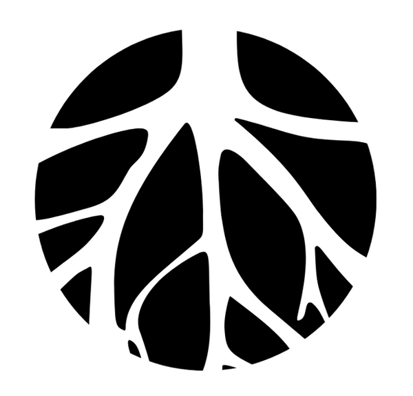 Raizstore